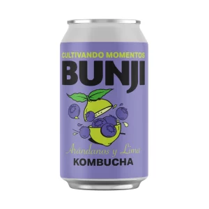Kombucha Arándanos y Lima Bunji